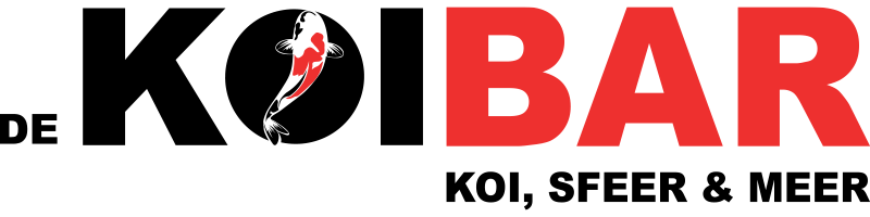 My Website